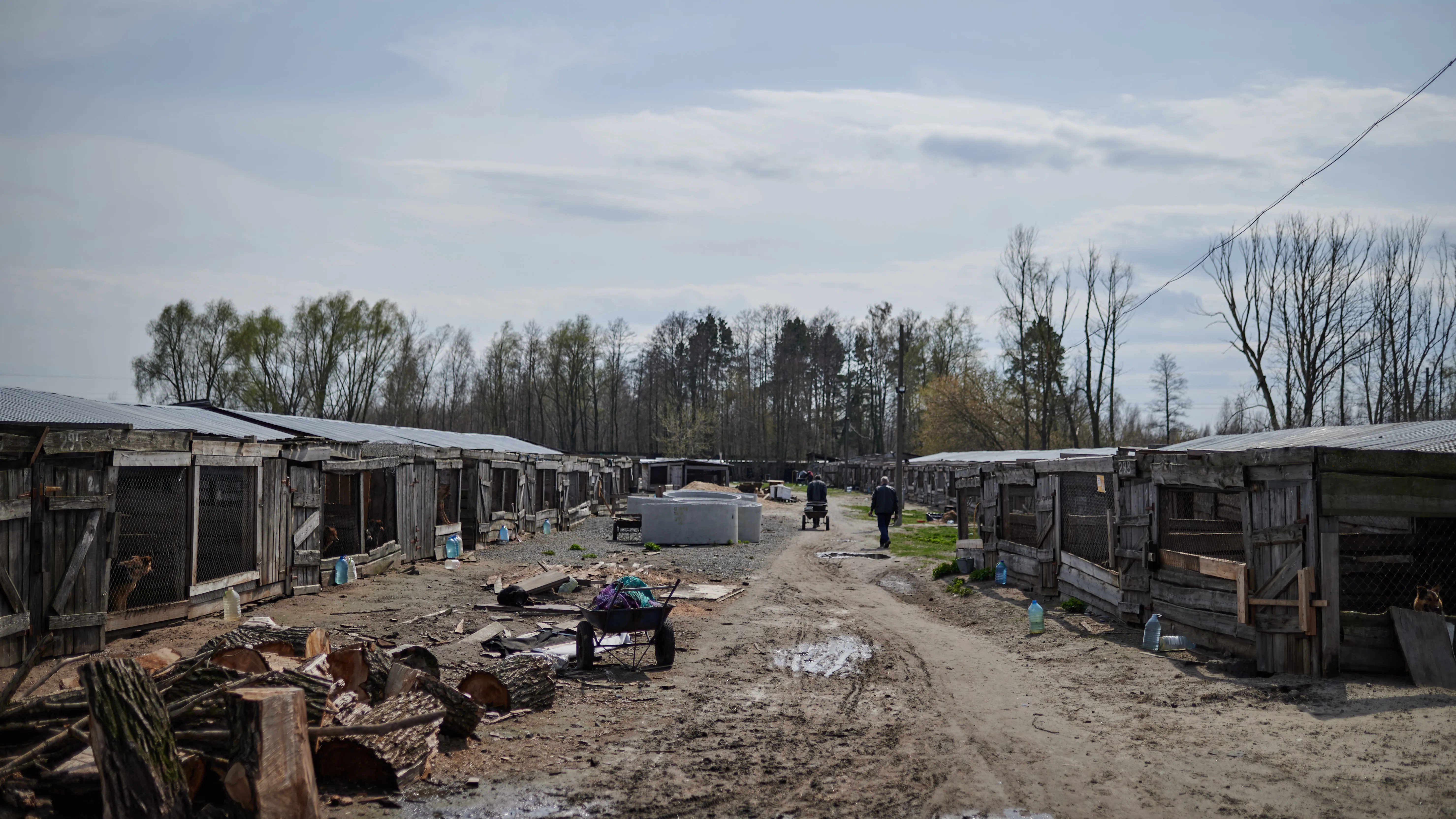 Притулок для тварин Притулок для тварин