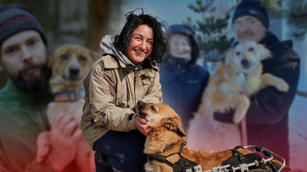 Приют для животных Сириус восстанавливается после освобождения от оккупации Приют для животных Сириус восстанавливается после освобождения от оккупации