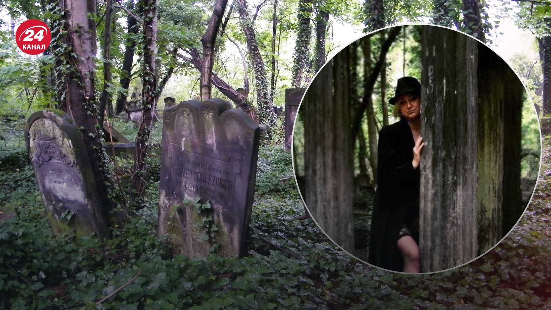 Искусство фотографа не оценили Искусство фотографа не оценили