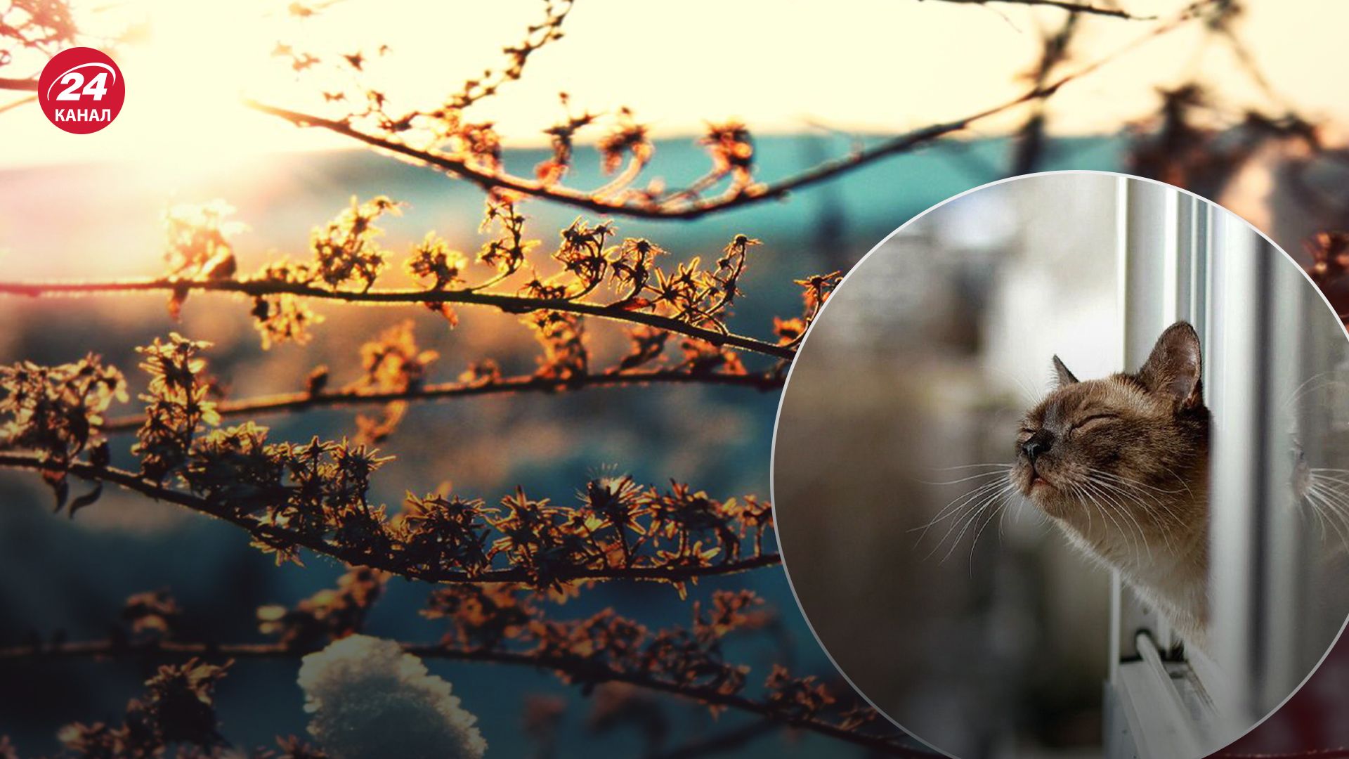 Прогноз погоды в Украине на 1 марта. Прогноз погоды в Украине на 1 марта.