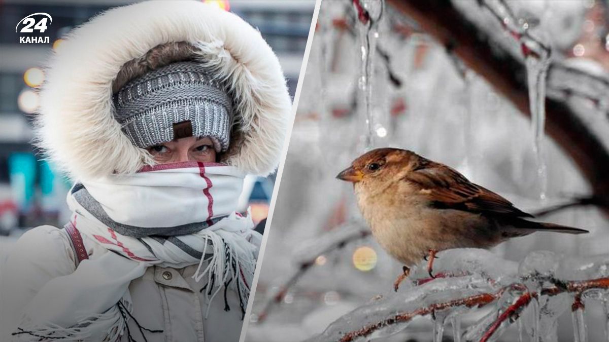 Посреди весны могут ударить сильные морозы - 24 Канал Посреди весны могут ударить сильные морозы - 24 Канал