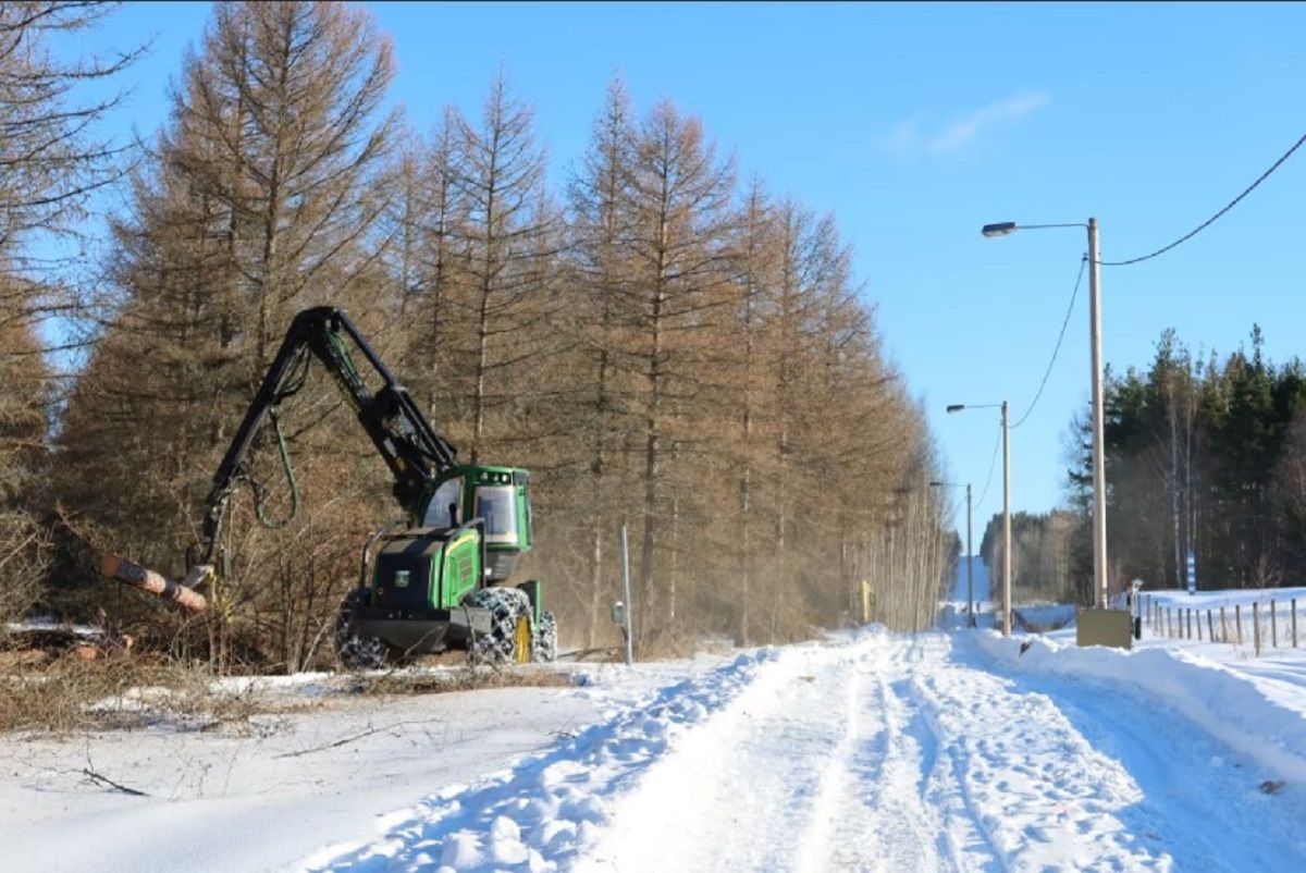 Фінляндія почала будувати паркан на кордоні з Росією