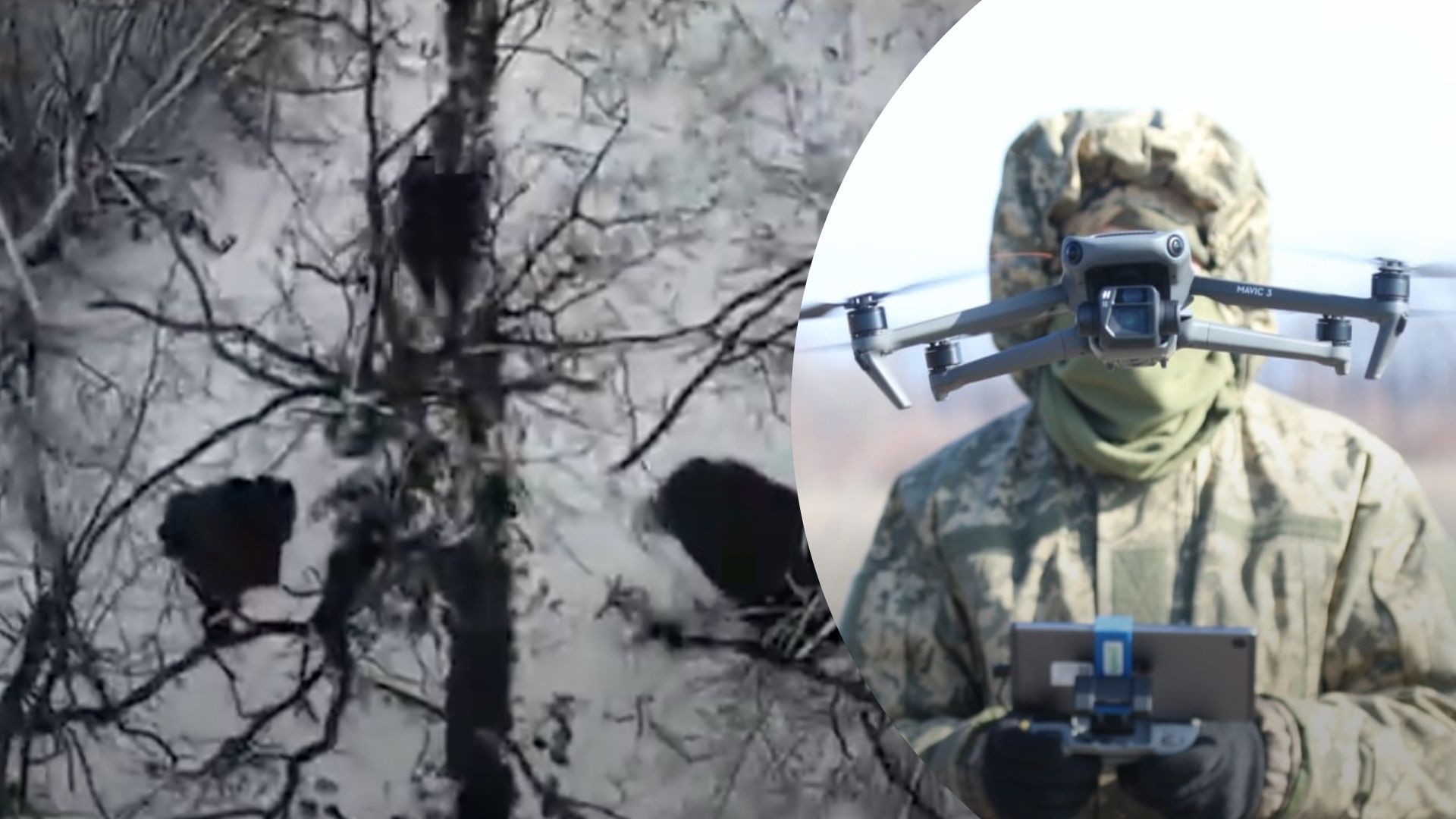 Потери врага в Луганской области - как бойцы 92 ОМБр нанесли удар по врагу, смотрите видео