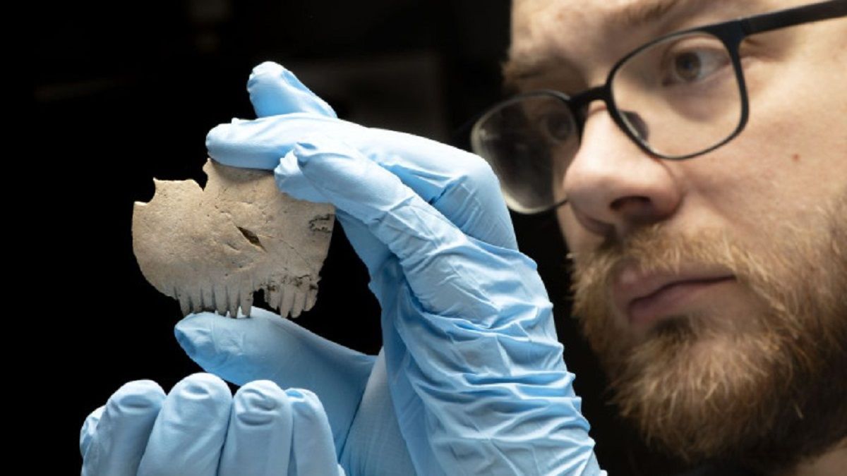 Костяной артефакт из села Бар-Хилл Костяной артефакт из села Бар-Хилл