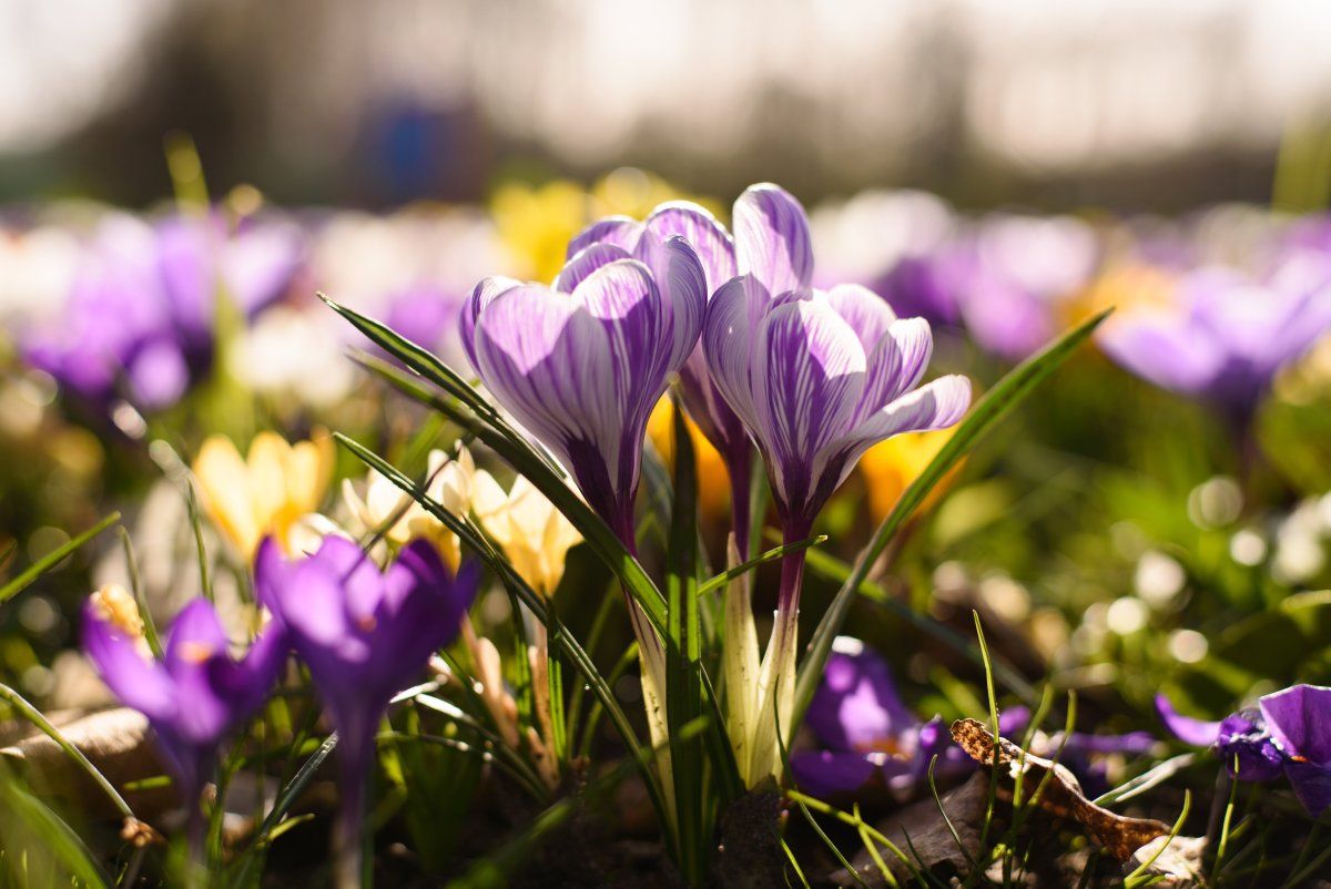 Прогноз погоды в Украине на 3 марта 2023 – какой будет температура воздуха Прогноз погоды в Украине на 3 марта 2023 – какой будет температура воздуха