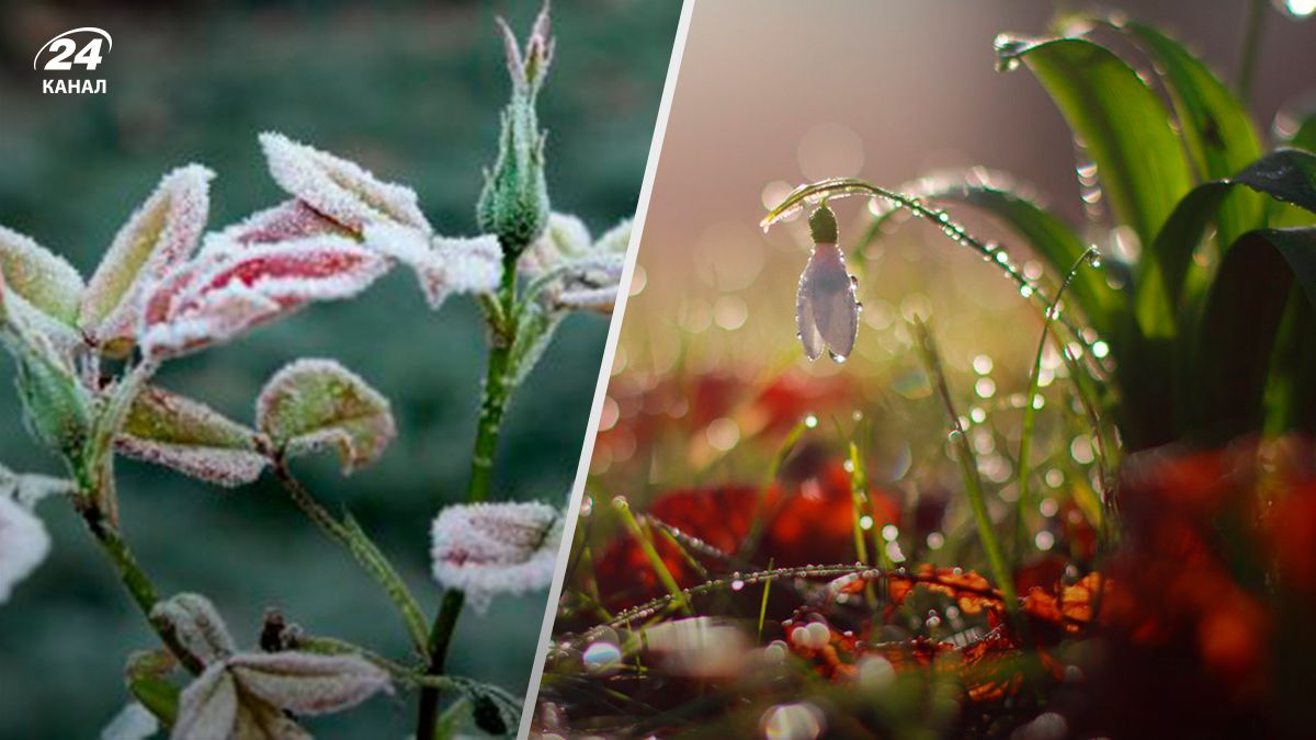 Погода в марте - 24 Канал Погода в марте - 24 Канал