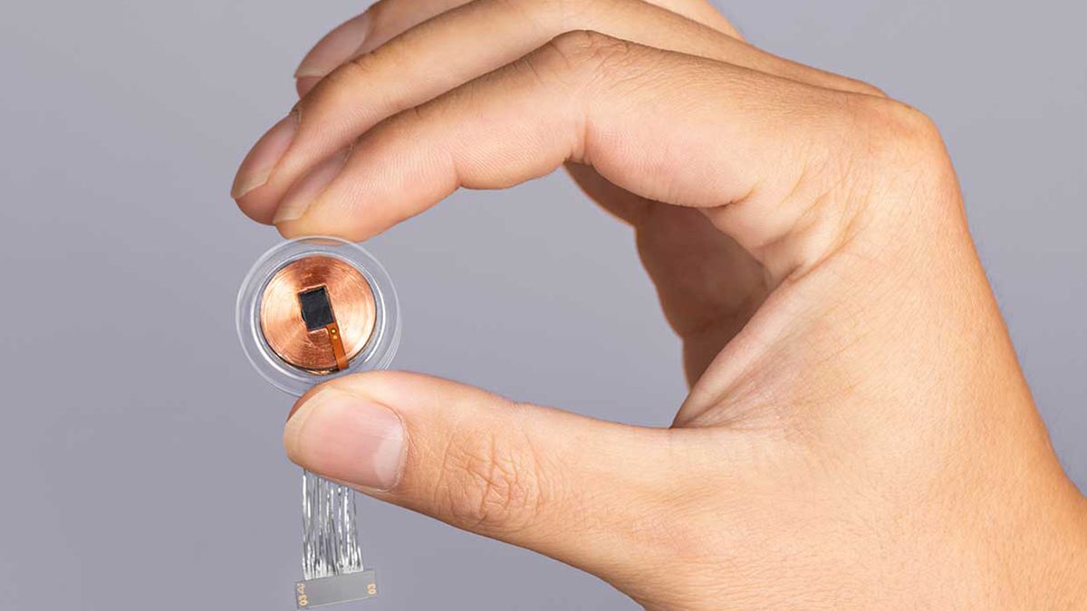 Neuralink не отримав дозволу FDA тестувати мозкові імплантати на людях Neuralink не отримав дозволу FDA тестувати мозкові імплантати на людях