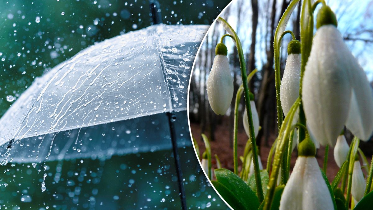 Якою буде погода у різних регіонах України на третій день весни Якою буде погода у різних регіонах України на третій день весни