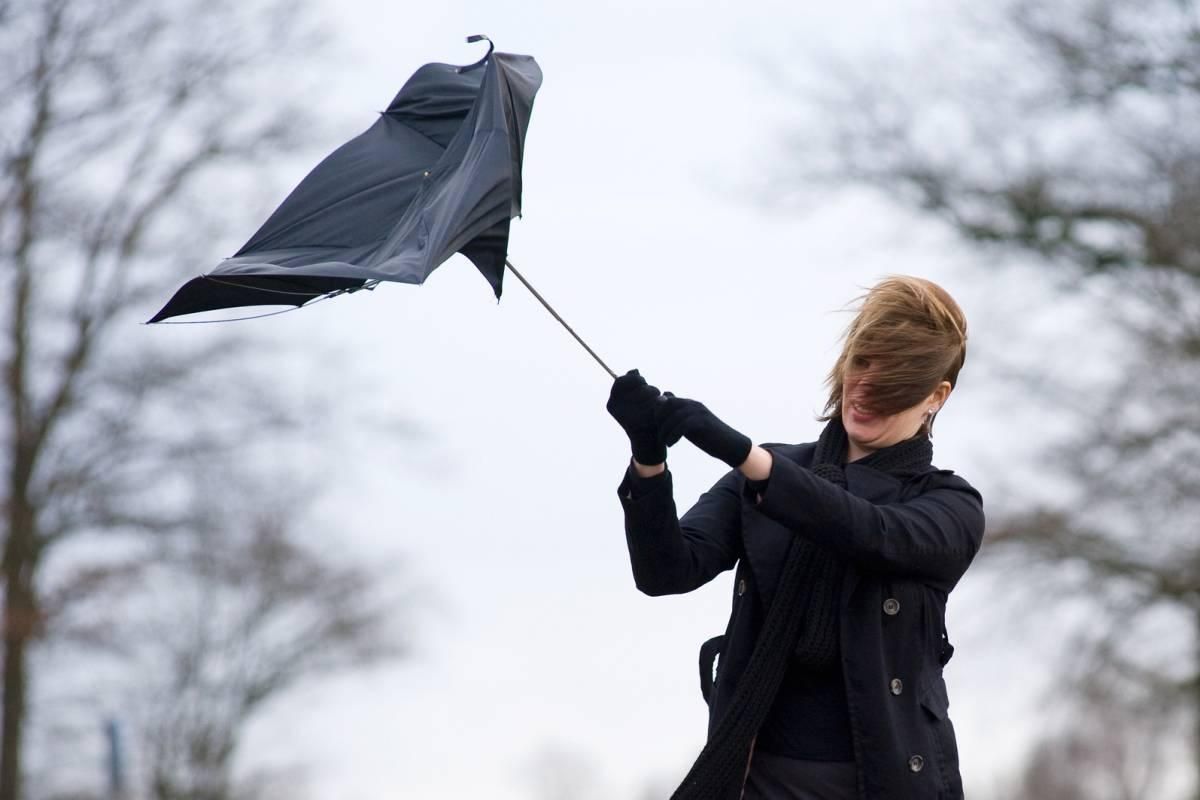 Штормовое предупреждение в Украине на 4 марта 2023 - где ожидают сильный ветер Штормовое предупреждение в Украине на 4 марта 2023 - где ожидают сильный ветер