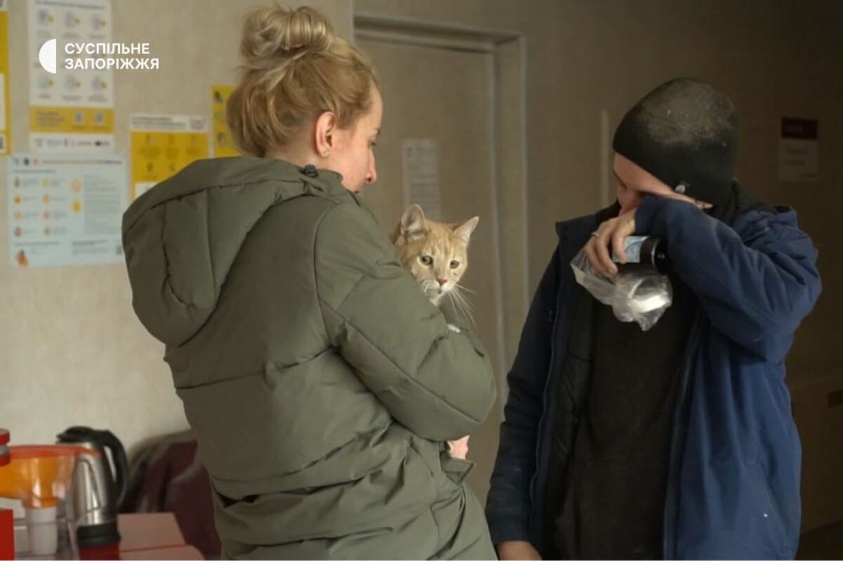 У Запоріжжі з-під завалів будинку врятували кота