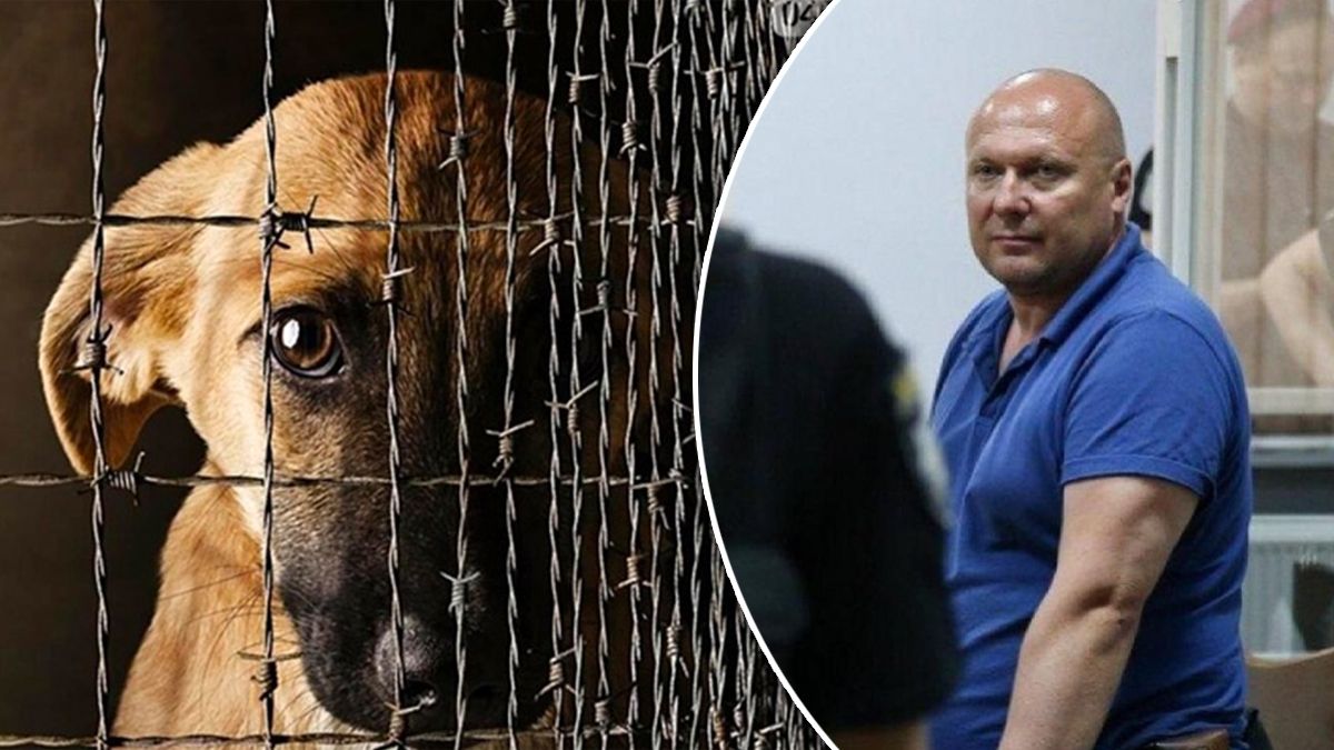 Кінець справи догхантера Святогора Кінець справи догхантера Святогора