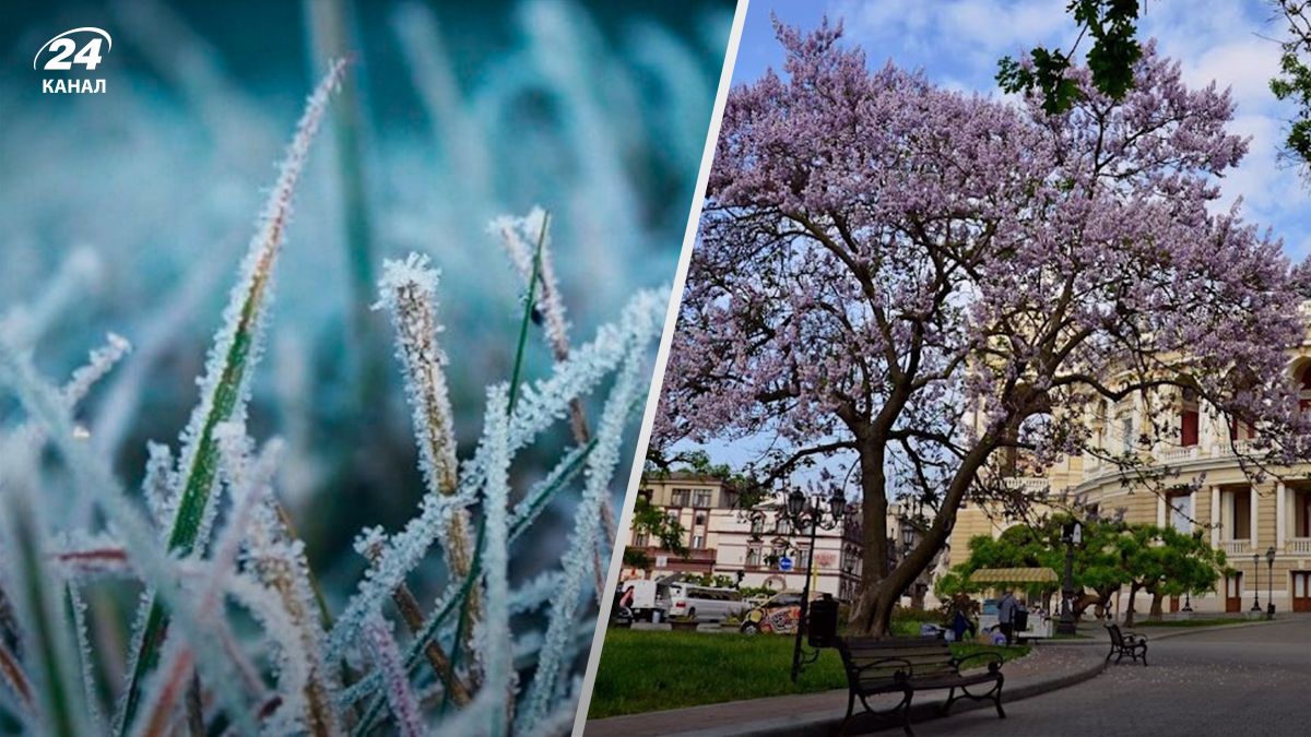 Какая будет погода на следующей неделе - 24 Канал Какая будет погода на следующей неделе - 24 Канал