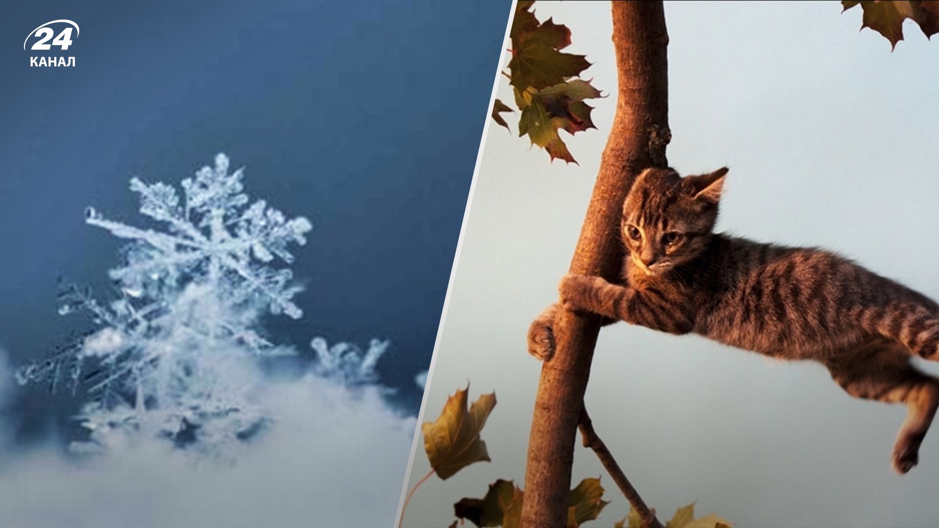 Прогноз погоди на 5 березня Прогноз погоди на 5 березня