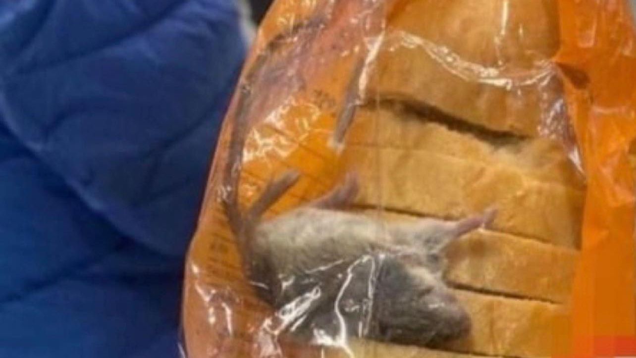 В Киеве в АТБ в батоне нашли мертвую мышь - 24 Канал В Киеве в АТБ в батоне нашли мертвую мышь - 24 Канал