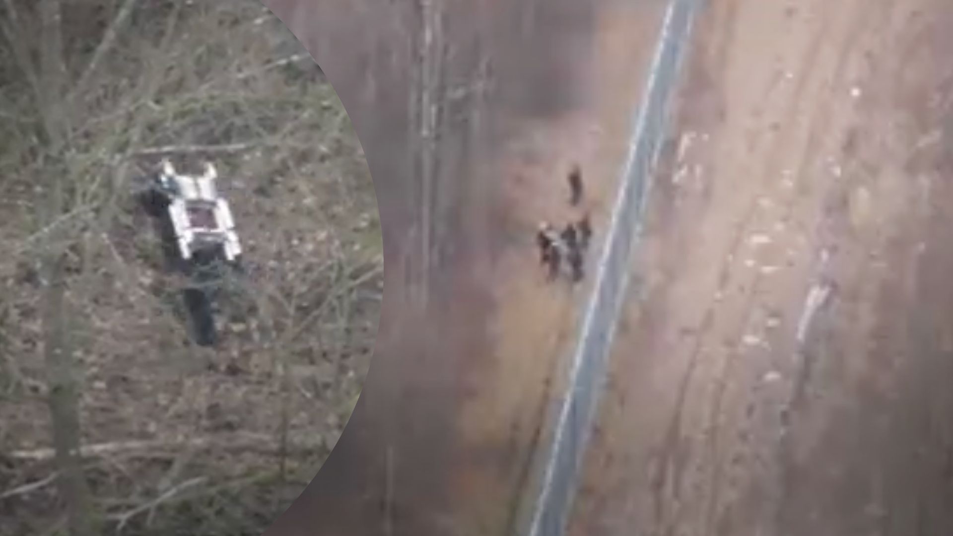 Границу Польши пытались пересечь нелегалы с территории Беларуси - что об этом известно Границу Польши пытались пересечь нелегалы с территории Беларуси - что об этом известно