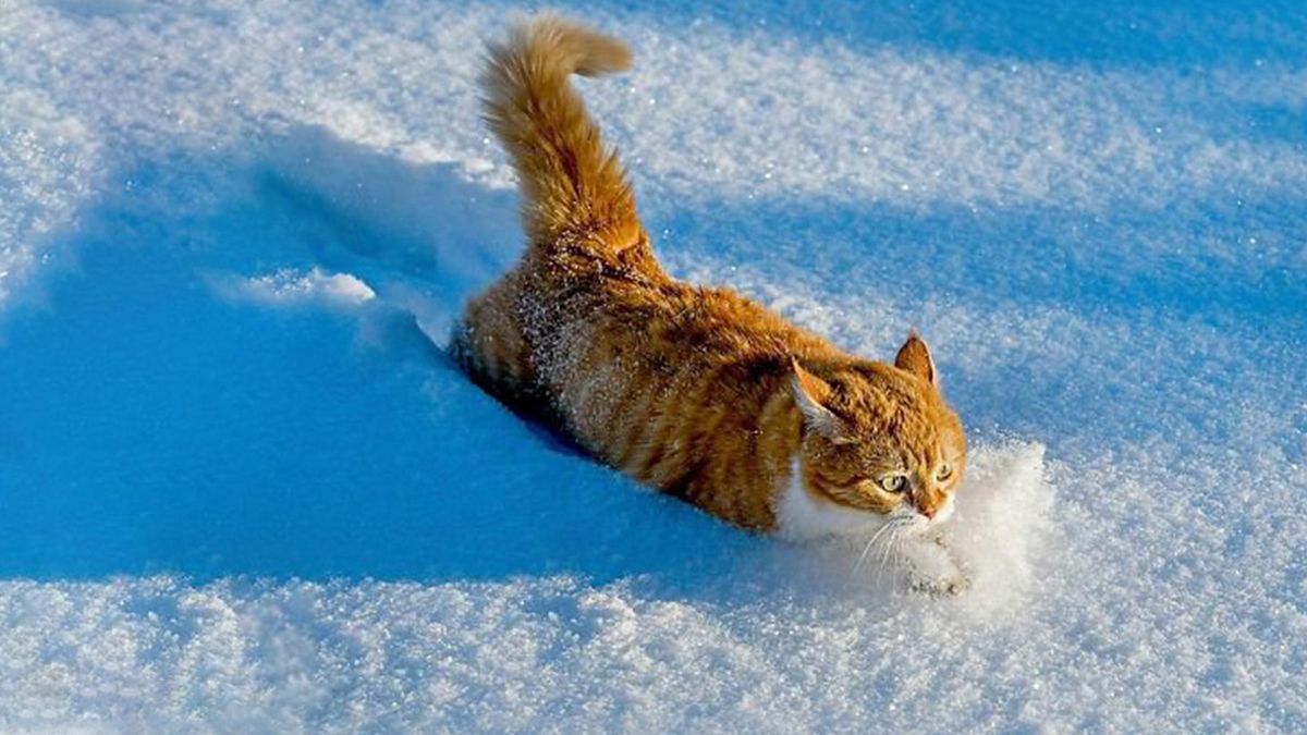 Прогноз погоди в Україні на 6 березня 2023 – якою буде температура повітря Прогноз погоди в Україні на 6 березня 2023 – якою буде температура повітря