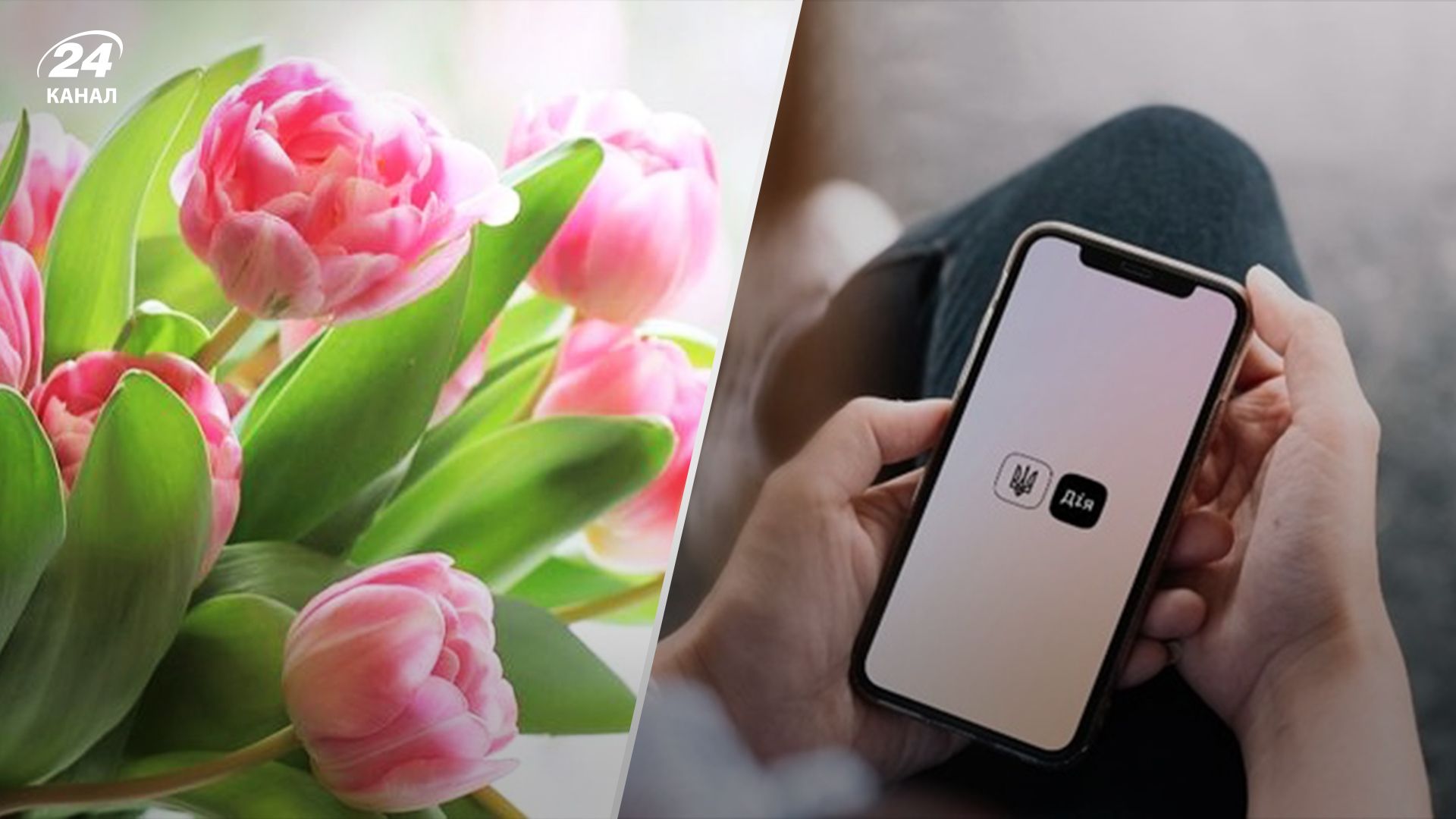 В Действии завершилось голосование за выходной 8 марта В Действии завершилось голосование за выходной 8 марта