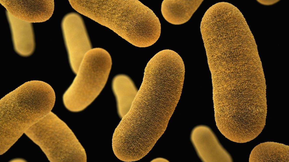 Ілюстративне фотоТаємницю перетворення повітря на енергію розгадано Ілюстративне фотоТаємницю перетворення повітря на енергію розгадано