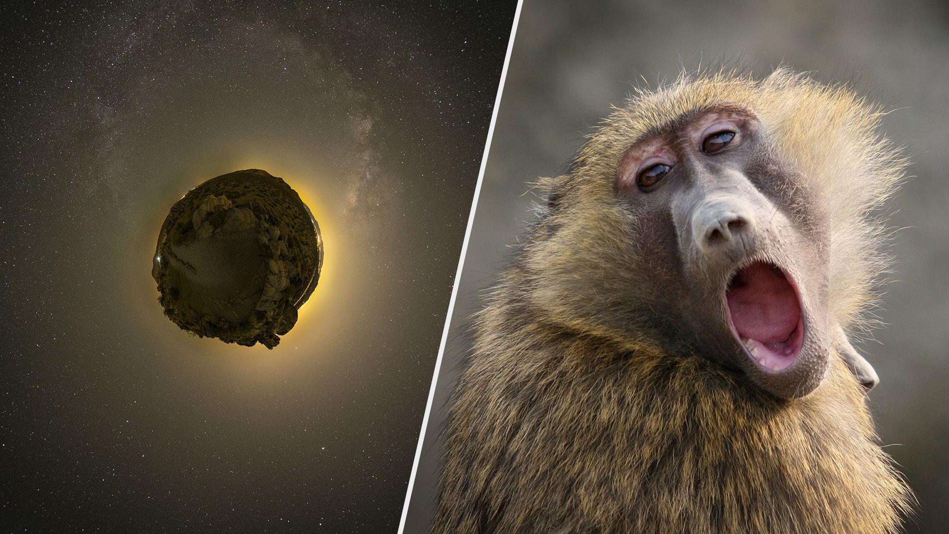 Астероид 2023 DW летит к Земле – какая угроза для человечества Астероид 2023 DW летит к Земле – какая угроза для человечества