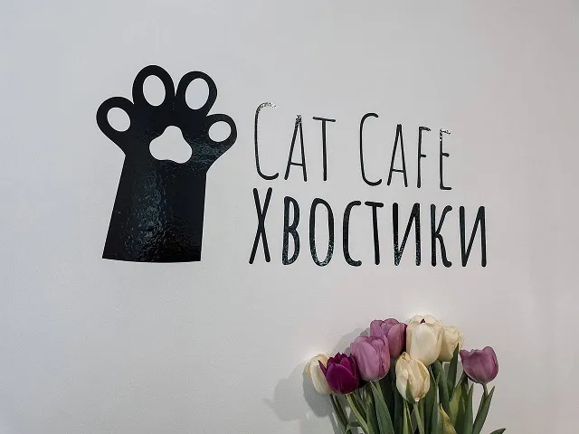 Котокафе 