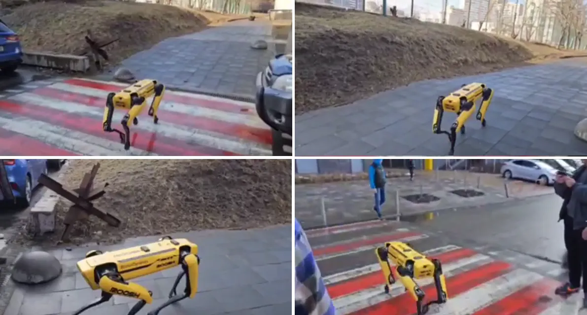 Spot під час прогулянки Spot під час прогулянки