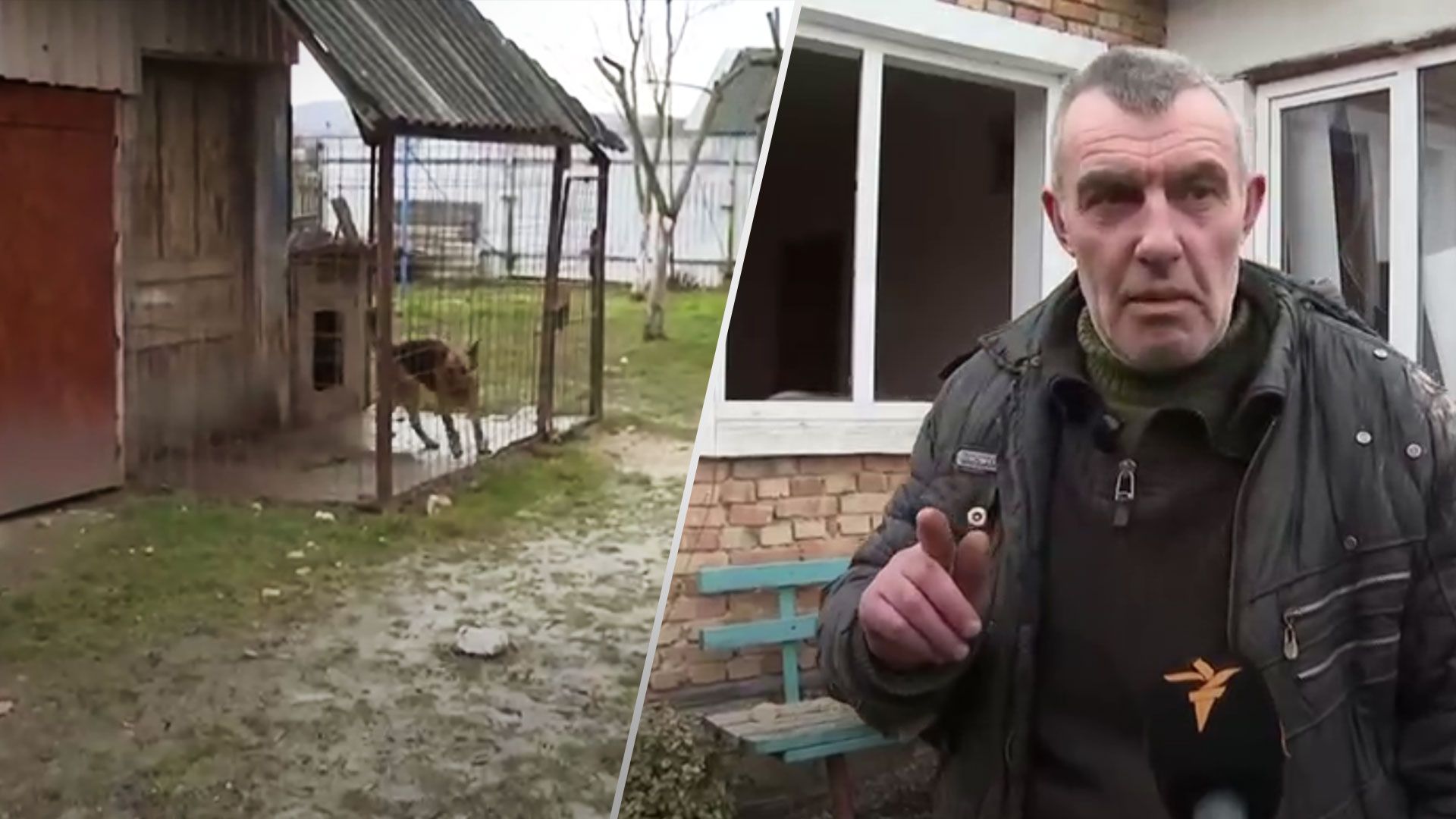 Ракетний удар в Золочівському районі - собака врятував чоловіка - 24 Канал Ракетний удар в Золочівському районі - собака врятував чоловіка - 24 Канал