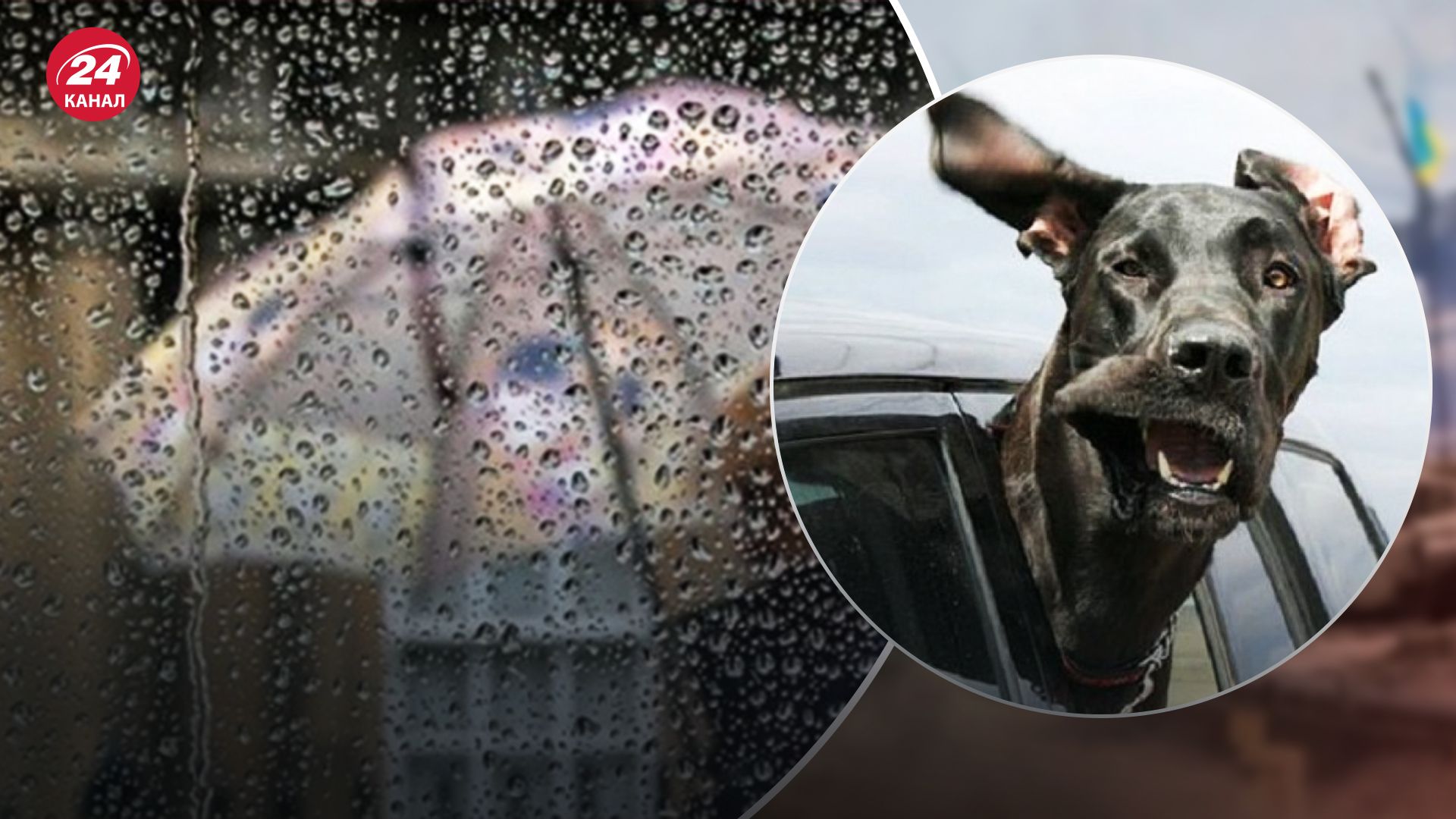 Погода в Україні 11 березня Погода в Україні 11 березня