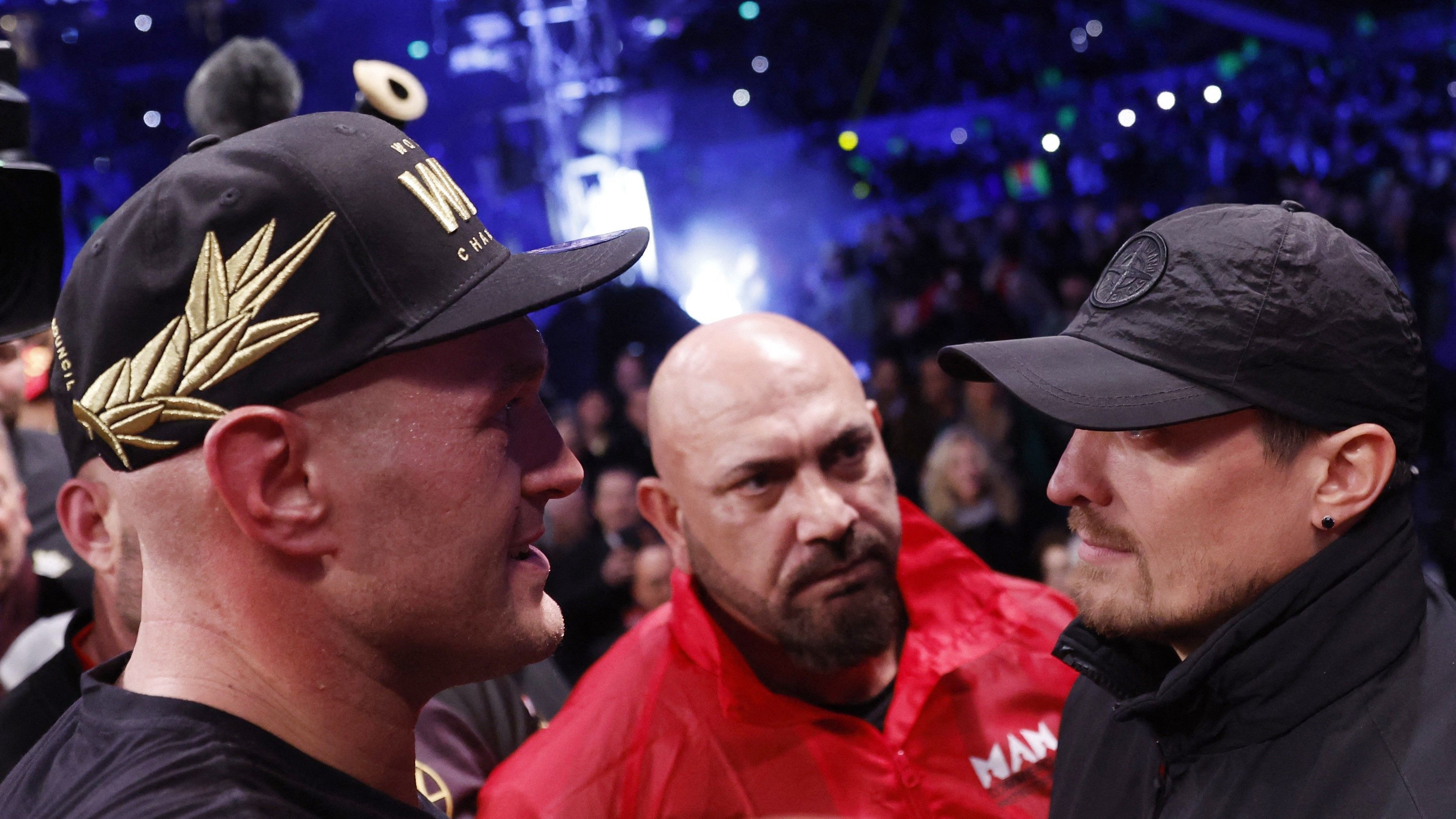Усик та Ф'юрі погодили проведення об'єднавчого поєдинку - заява WBA