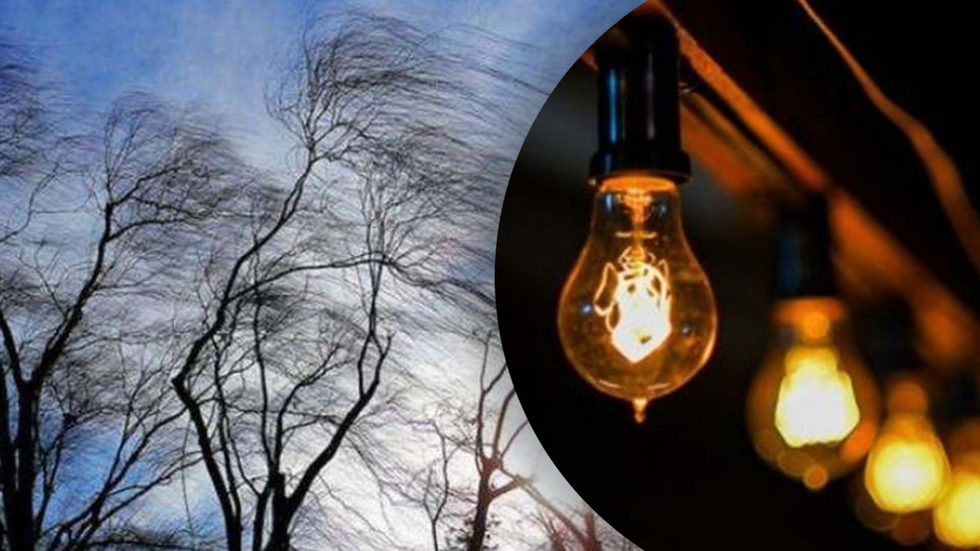 У Києві та області через штормовий вітер можливі проблеми зі світлом У Києві та області через штормовий вітер можливі проблеми зі світлом