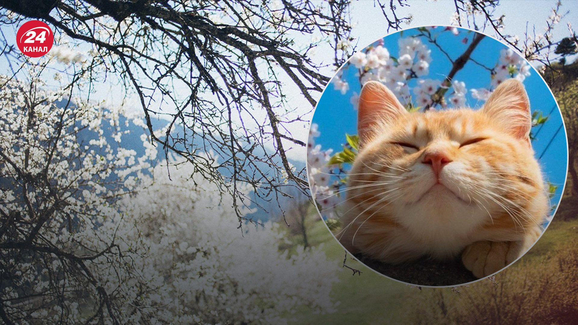 Погода в Украине 13 марта Погода в Украине 13 марта