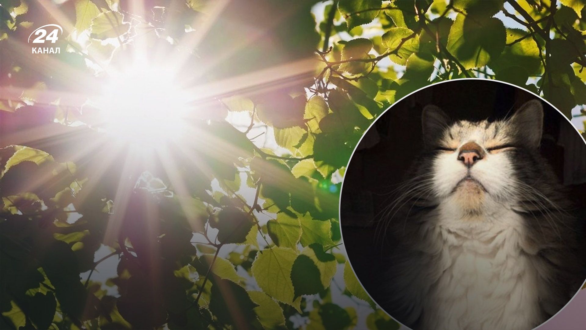 Прогноз погоди в Україні на 14 березня Прогноз погоди в Україні на 14 березня