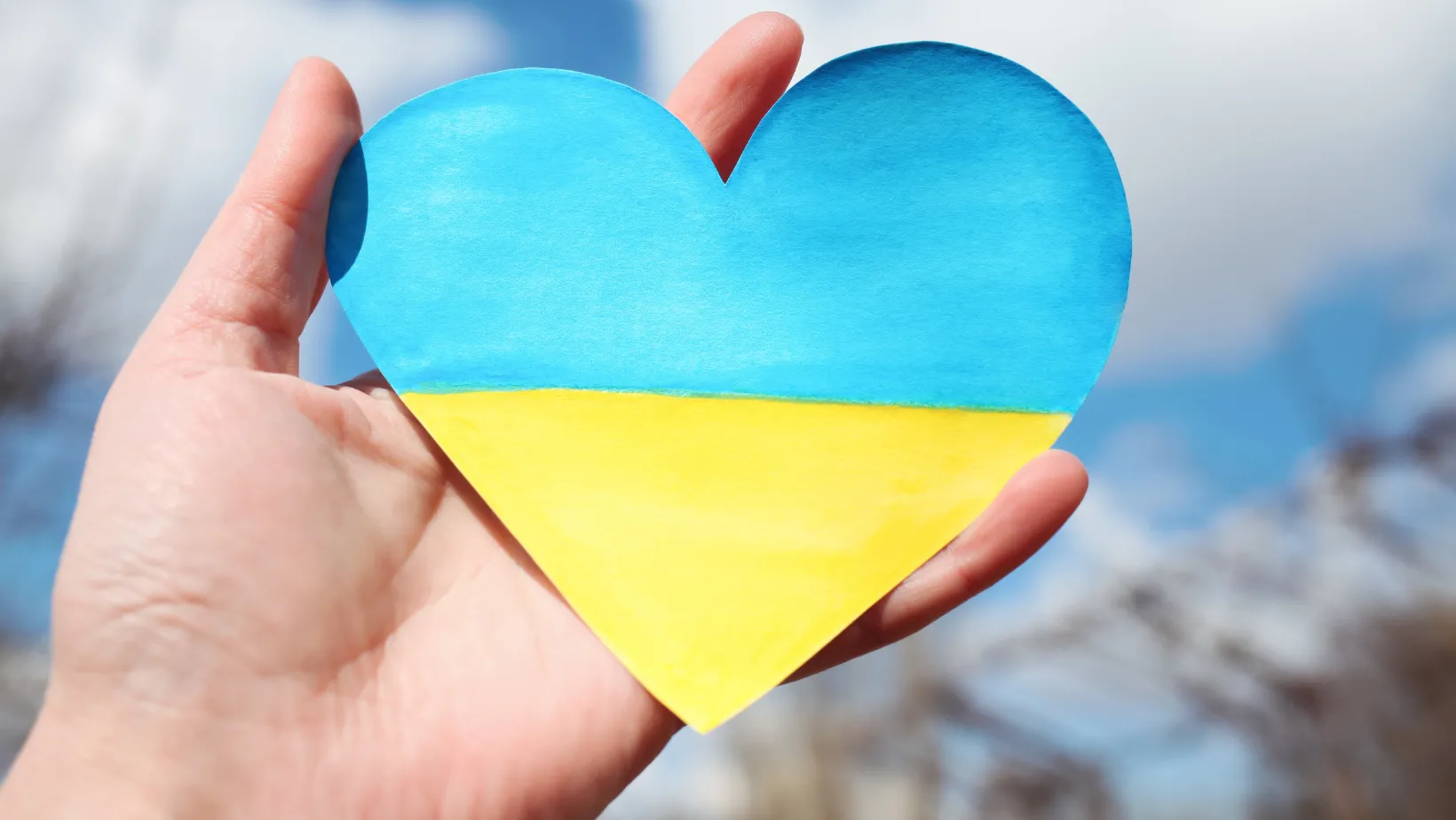 День украинского добровольца 2023 года: значение праздника