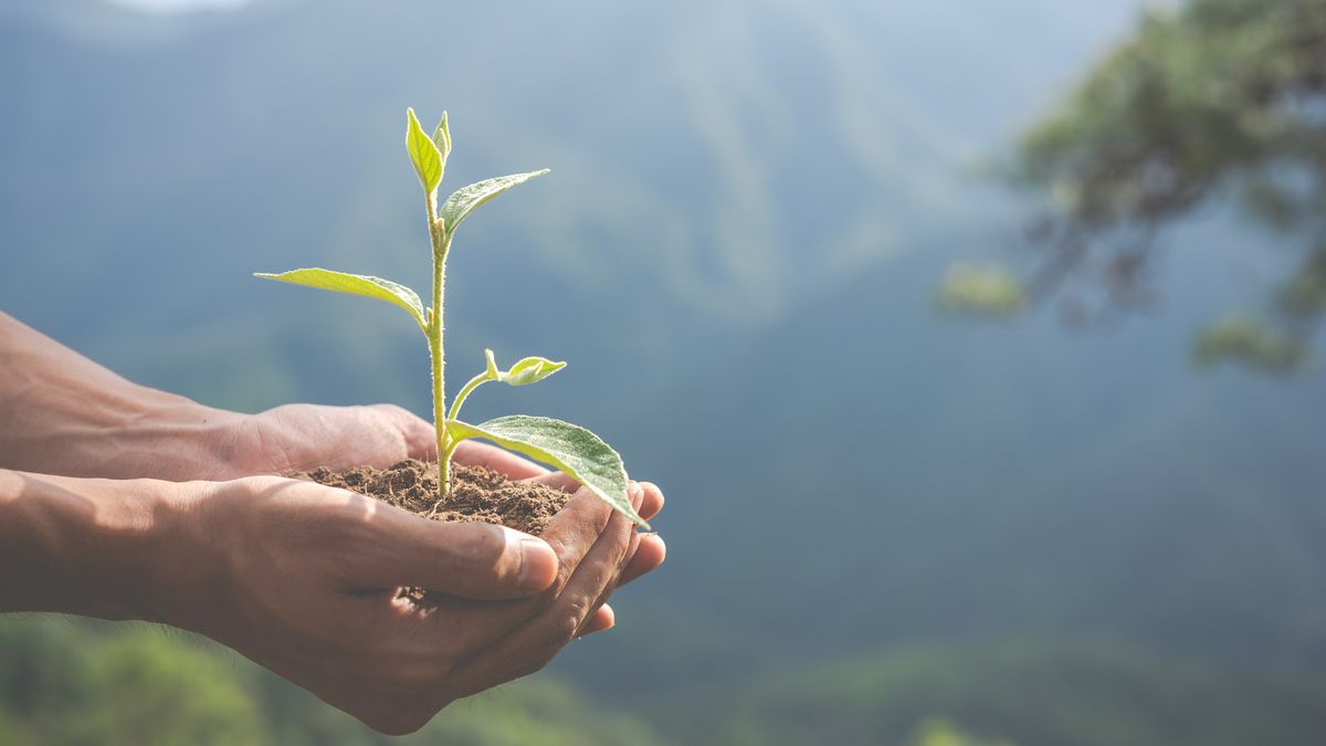 Найдено вещество, вероятнее всего запустившее жизнь на Земле Найдено вещество, вероятнее всего запустившее жизнь на Земле