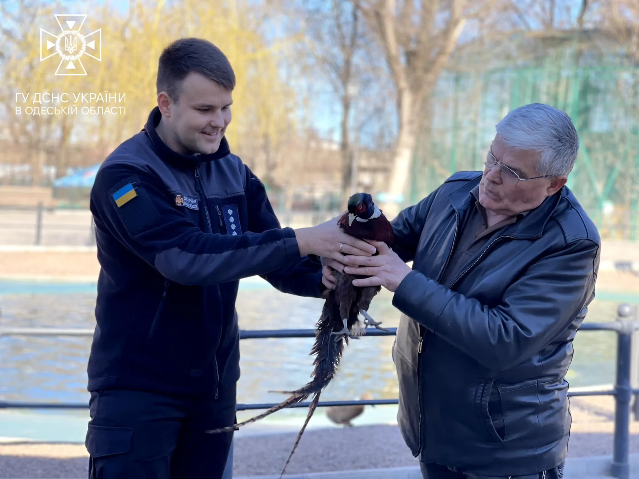 Фазан із рятувальником та директором Одеського зоопарку Ігорем Біляковим