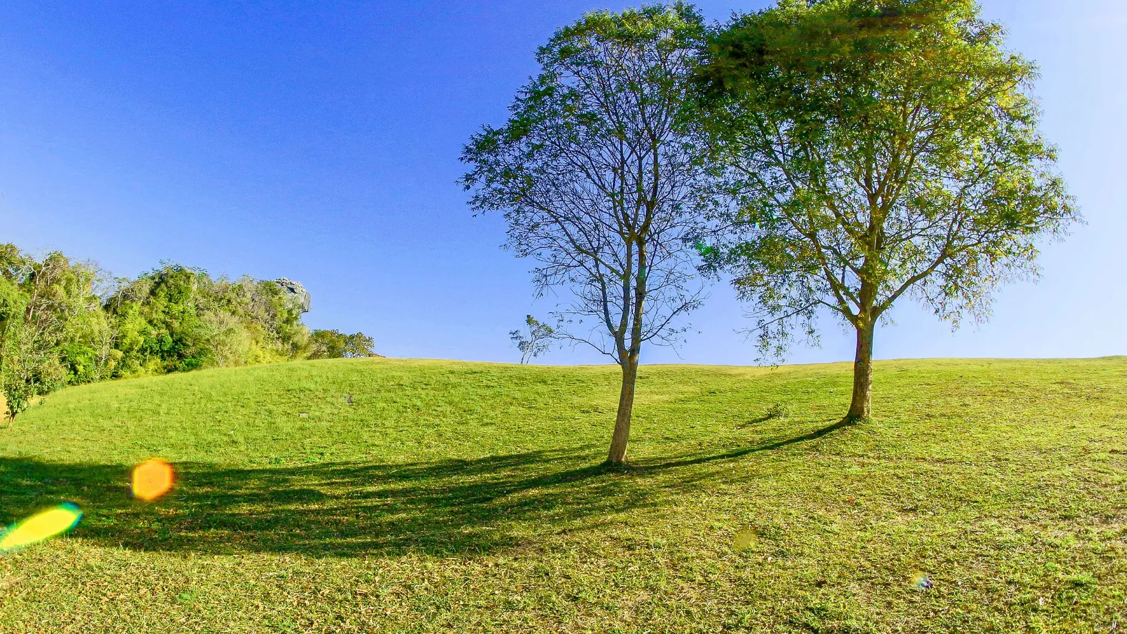 Основные методы обрезки деревьев в марте Основные методы обрезки деревьев в марте