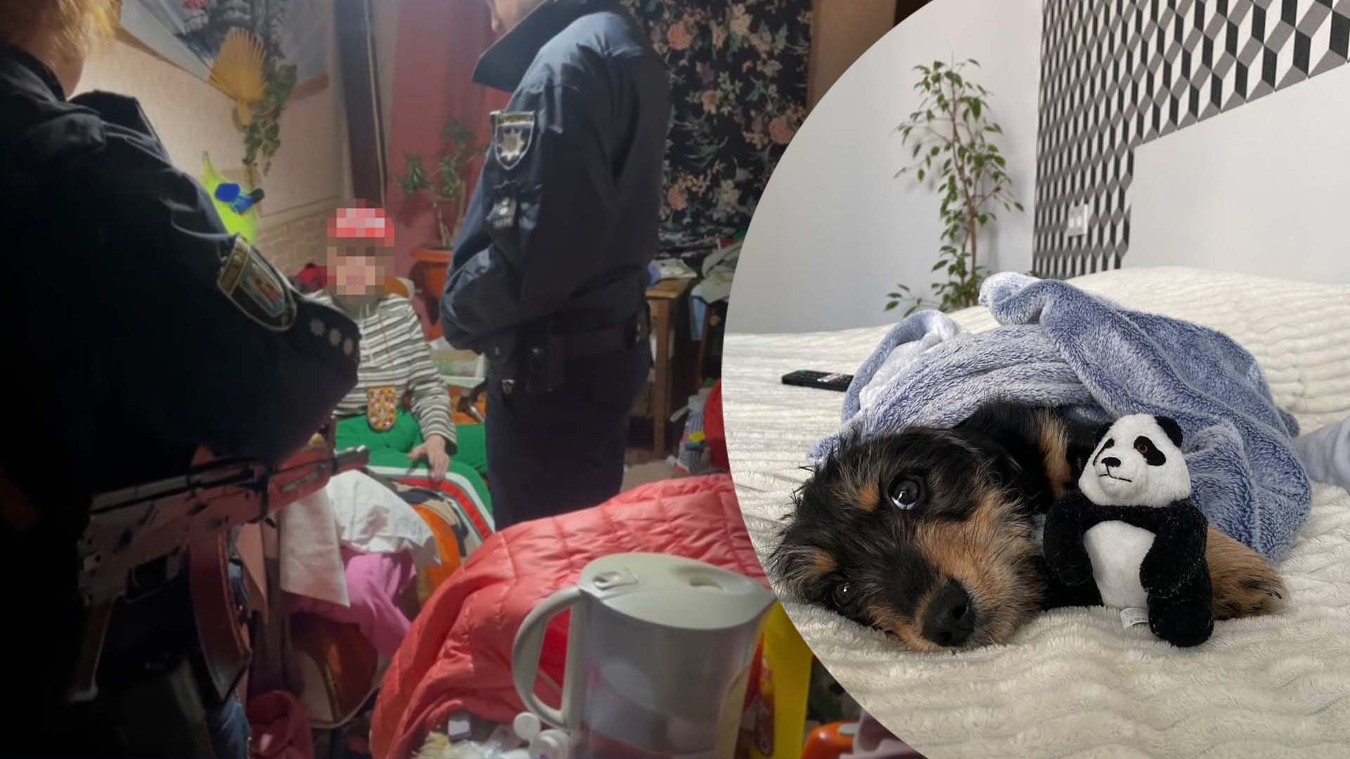 Полиция спасла щенка от жестокой владелицы Полиция спасла щенка от жестокой владелицы