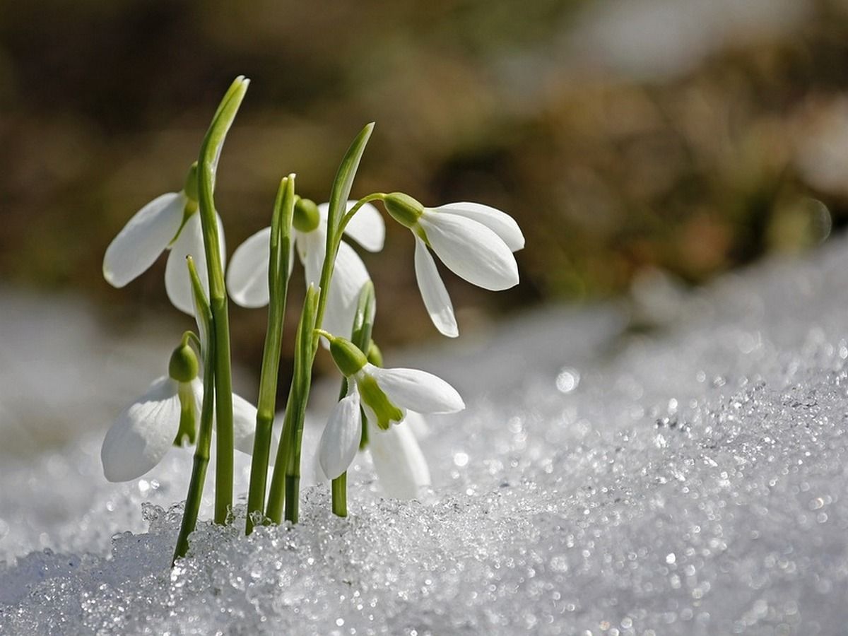 Погода в Україні 17 березня Погода в Україні 17 березня