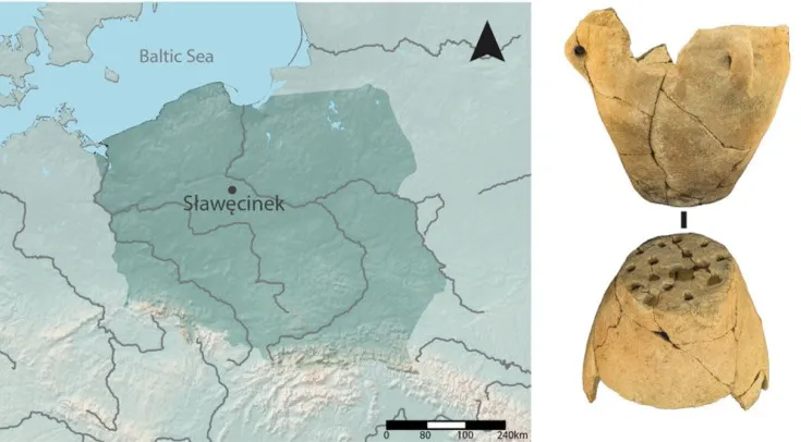 Древнє сироваріння Древнє сироваріння