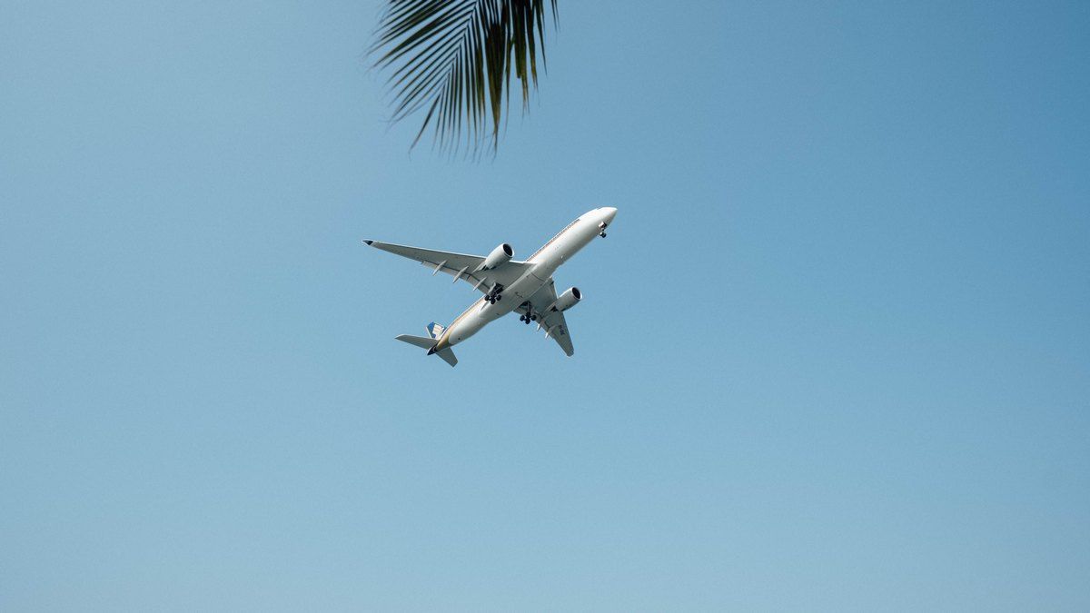 США заставили Турцию отказать России в обслуживании самолетов Boeing и Airbus - Техно США заставили Турцию отказать России в обслуживании самолетов Boeing и Airbus - Техно