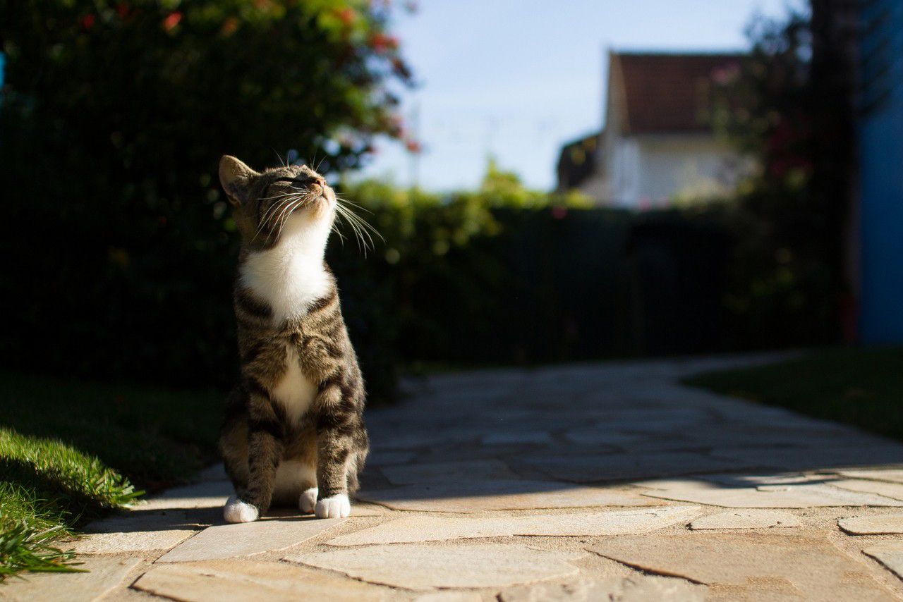 Прогноз погоди в Україні на 18 березня 2023 Прогноз погоди в Україні на 18 березня 2023