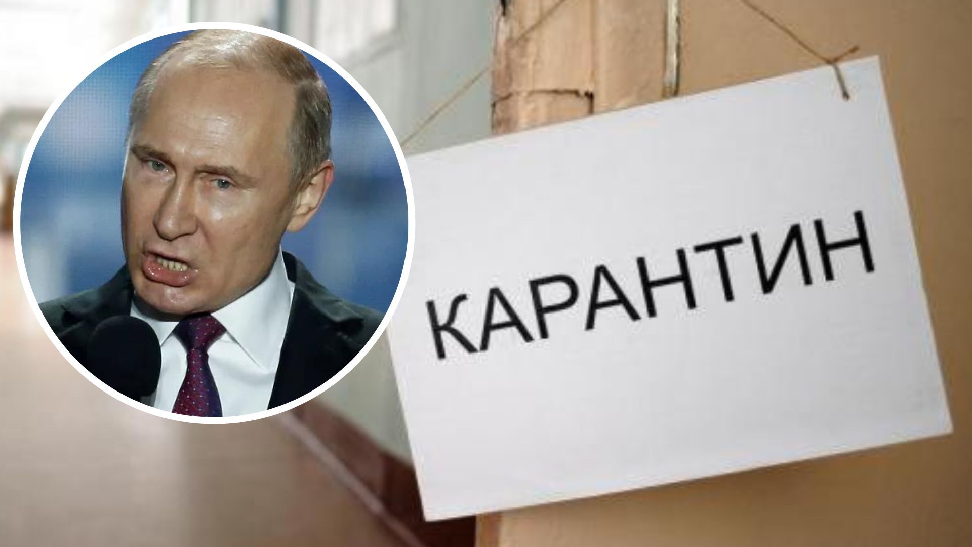 На Донеччині через сказ запровадили карантин - де саме - 24 Канал На Донеччині через сказ запровадили карантин - де саме - 24 Канал