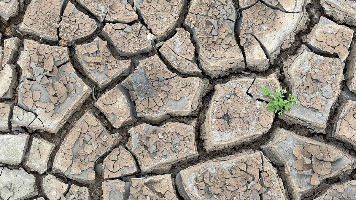 Відкрито новий метод збору води з повітря Відкрито новий метод збору води з повітря