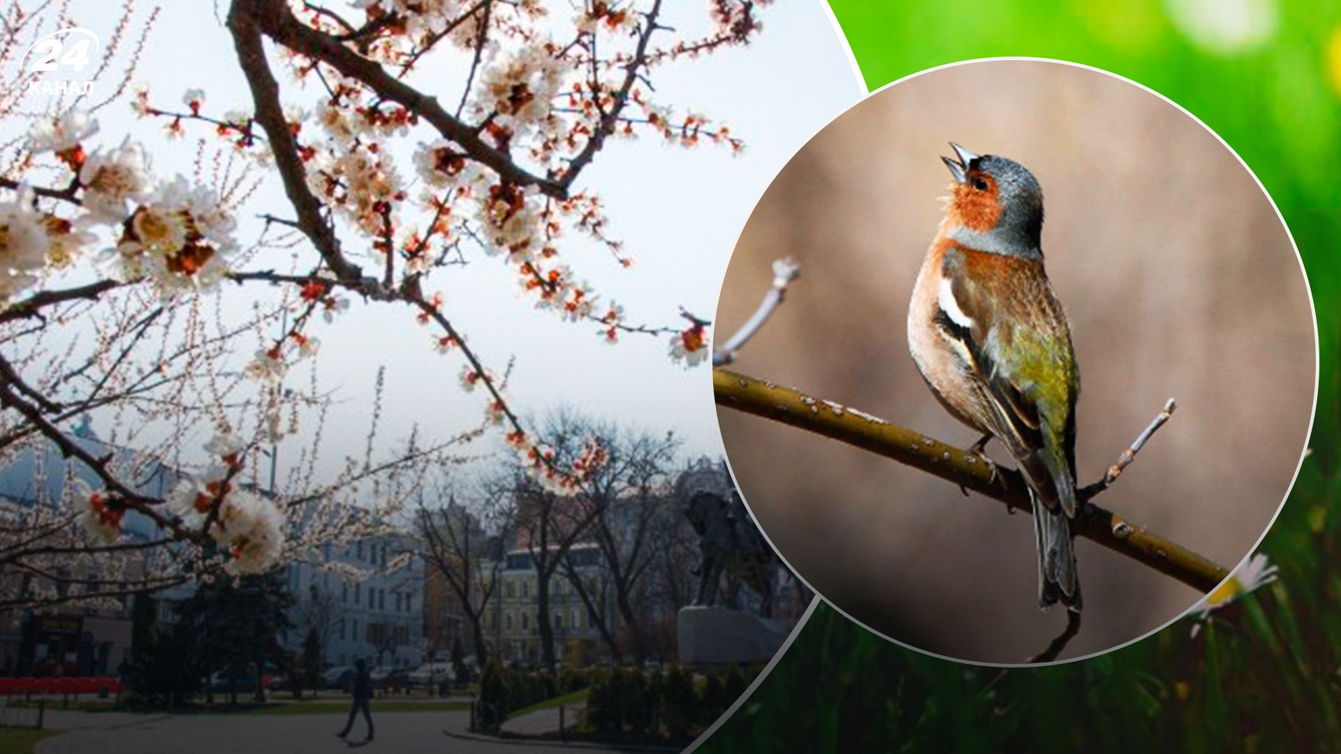 В Україні прогнозують аномальну температуру - 24 Канал В Україні прогнозують аномальну температуру - 24 Канал