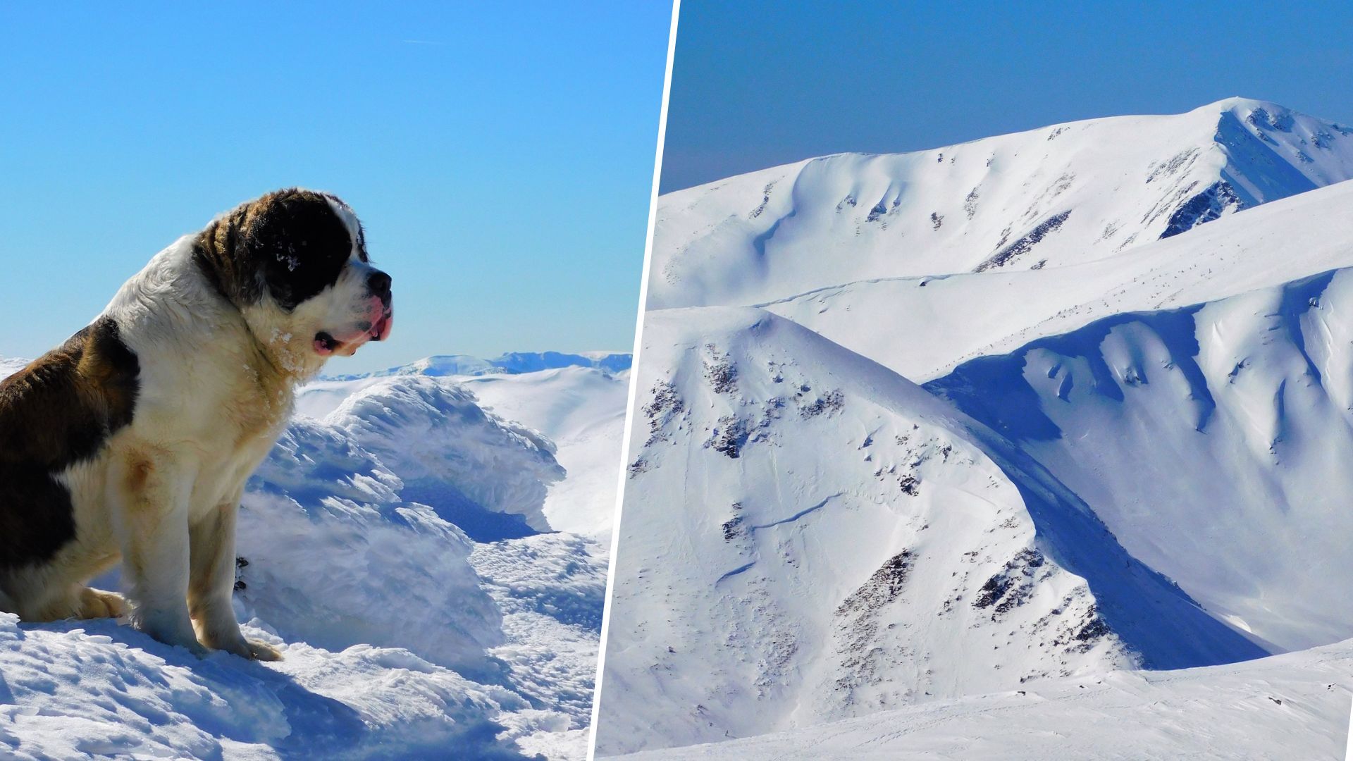 Погода у Карпатах 21 березня 2023 - що відбувається у високогір'ї - 24 Канал Погода у Карпатах 21 березня 2023 - що відбувається у високогір'ї - 24 Канал