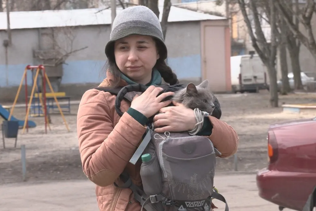 Харків'янка принесла кота на вакцинацію