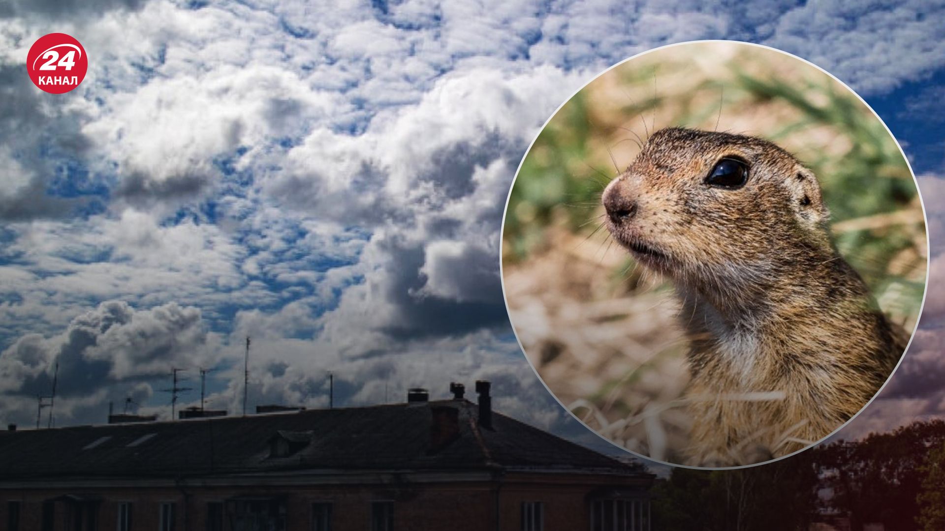 Прогноз погоди в Україні на 23 березня Прогноз погоди в Україні на 23 березня