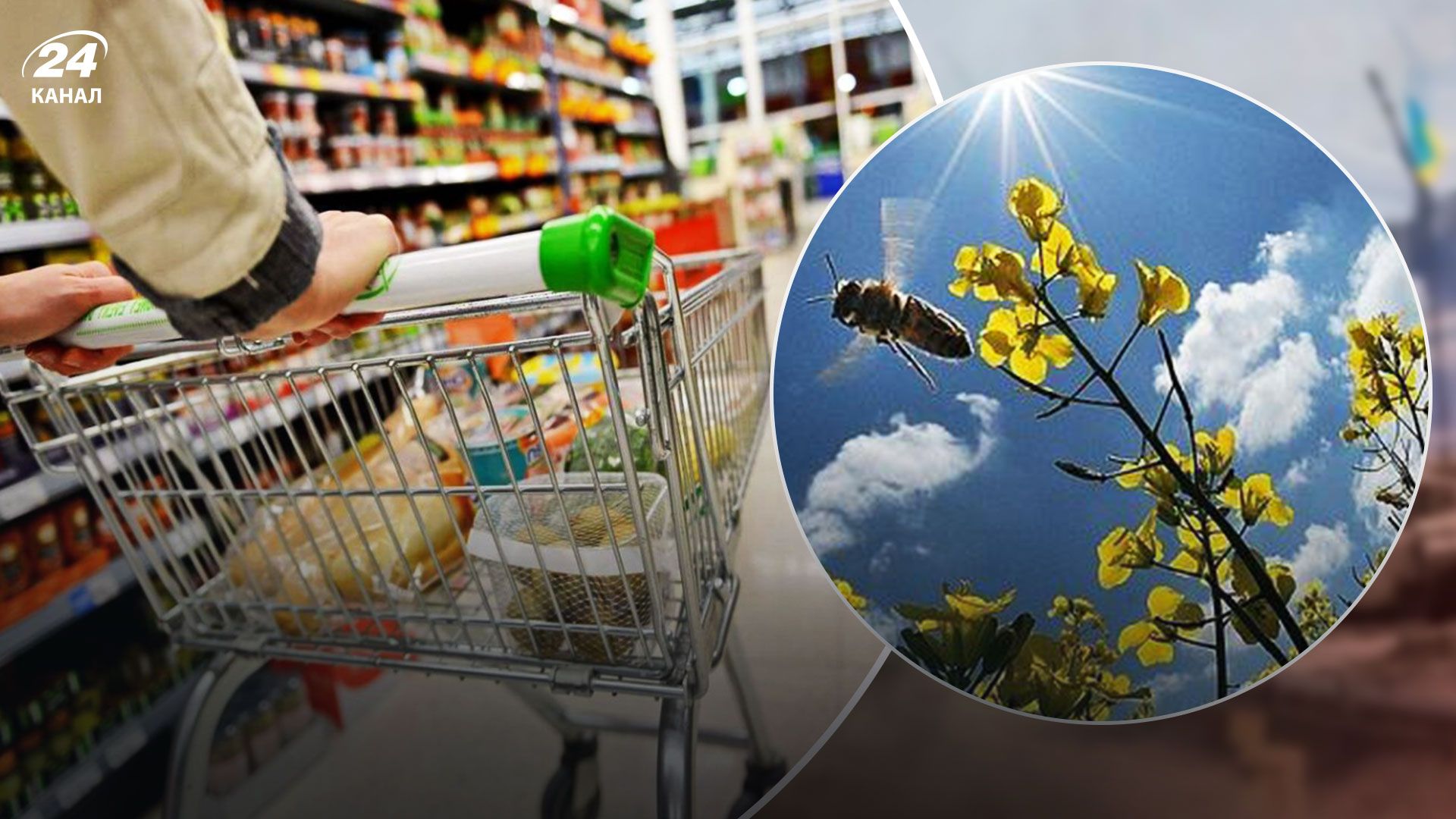 Цены в Украине – на сколько подорожают продукты перед Пасхой Цены в Украине – на сколько подорожают продукты перед Пасхой