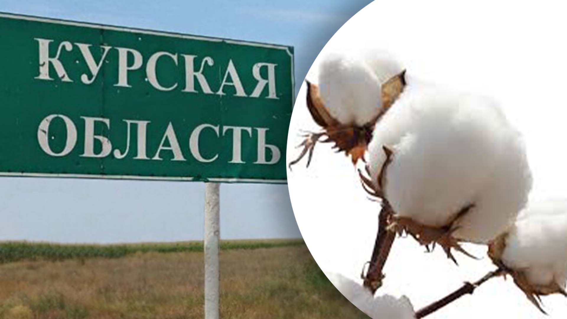 Какие последствия "хлопка" в Курске Какие последствия "хлопка" в Курске