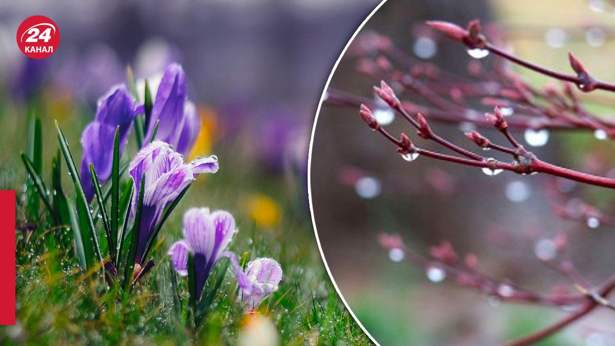 Чи буде погода весняною в Україні 25 березня Чи буде погода весняною в Україні 25 березня