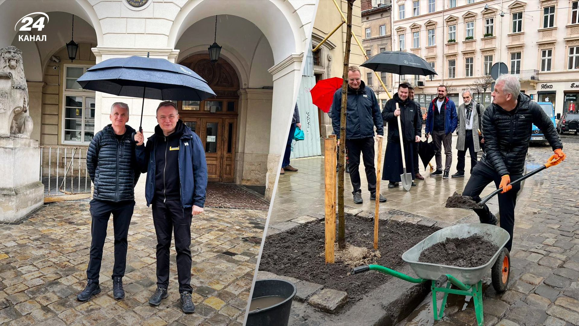 На площі Ринок у Львові ростиме дерево Тімоті Снайдера - 24 Канал